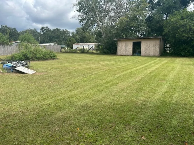 Professional lawn mowing service